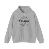 Pendejas Hoodie