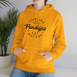 Pendejas Hoodie