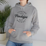 Pendejas Hoodie